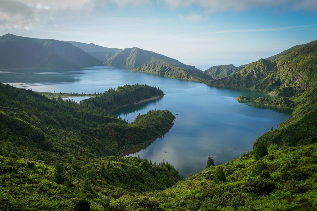 pexels alexandre moreira 2527876 35081024